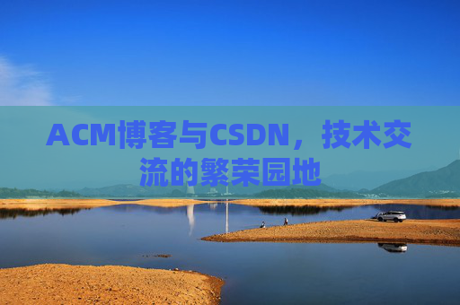 ACM博客与CSDN，技术交流的繁荣园地
